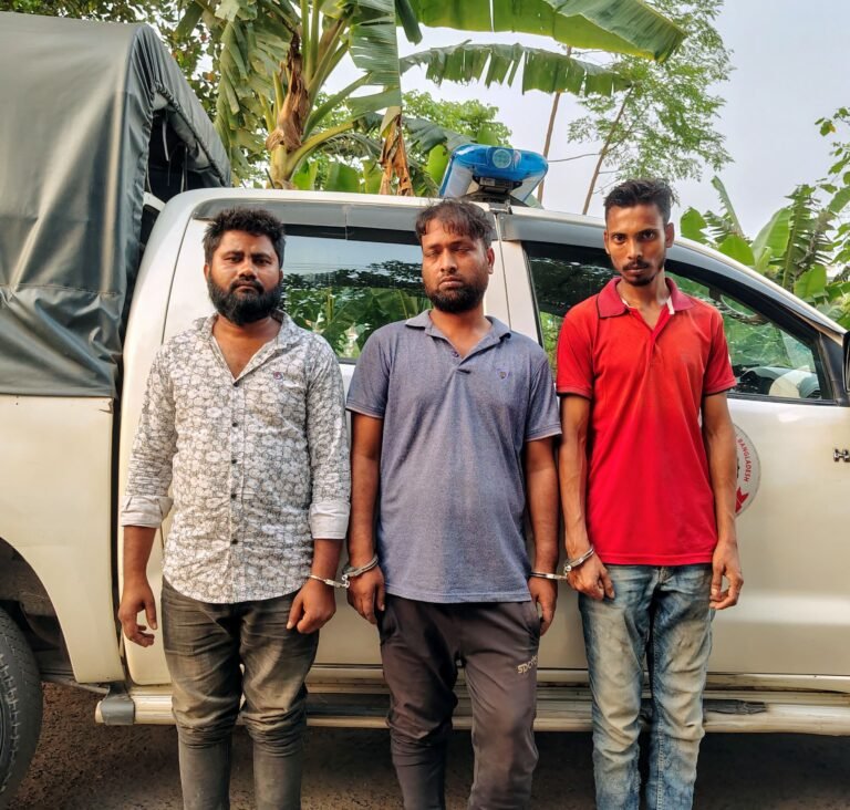 যশোরে মাদকবিরোধী অভিযানে গাঁজাসহ ৩ জন গ্রেফতার, মোবাইল কোর্টে অর্থদণ্ড ও কারাদণ্ড