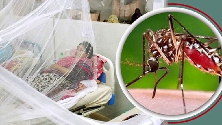 গত ২৪ ঘণ্টায় বছরের সর্বোচ্চ ডেঙ্গু রোগী হাসপাতালে ভর্তি, মৃত্যু ১