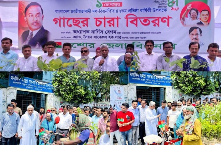 জনগণের কাঙ্খিত স্বপ্ন কে গলা টিপে হত্যা করবেন না যশোরে অমিত 