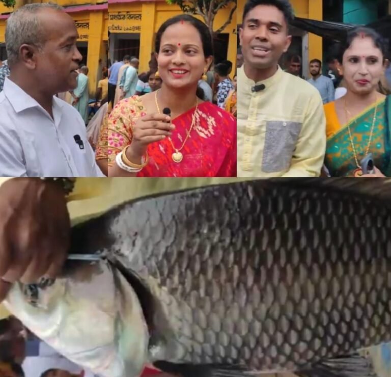 মনিরামপুরে ব্যতিক্রমী ‘জামাই হাটে’ কোটি টাকার মাছ বিক্রি