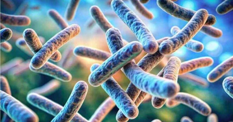 এবার ১১ জনের শরীরে অ্যানথ্রাক্সের উপসর্গ, যেভাবে ছড়াল