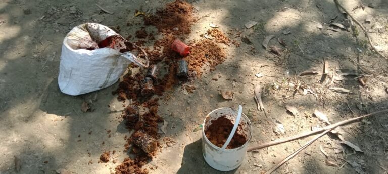 যশোরে আমবাগান থেকে ৬টি অবিস্ফোরিত ককটেল উদ্ধার