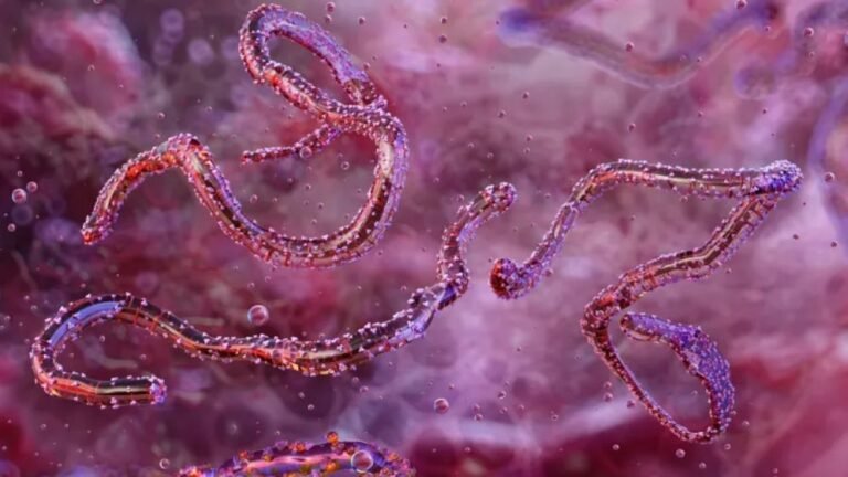 আফ্রিকায় চোখ রাঙাচ্ছে নতুন প্রাণঘাতী ছোঁয়াচে ভাইরাস