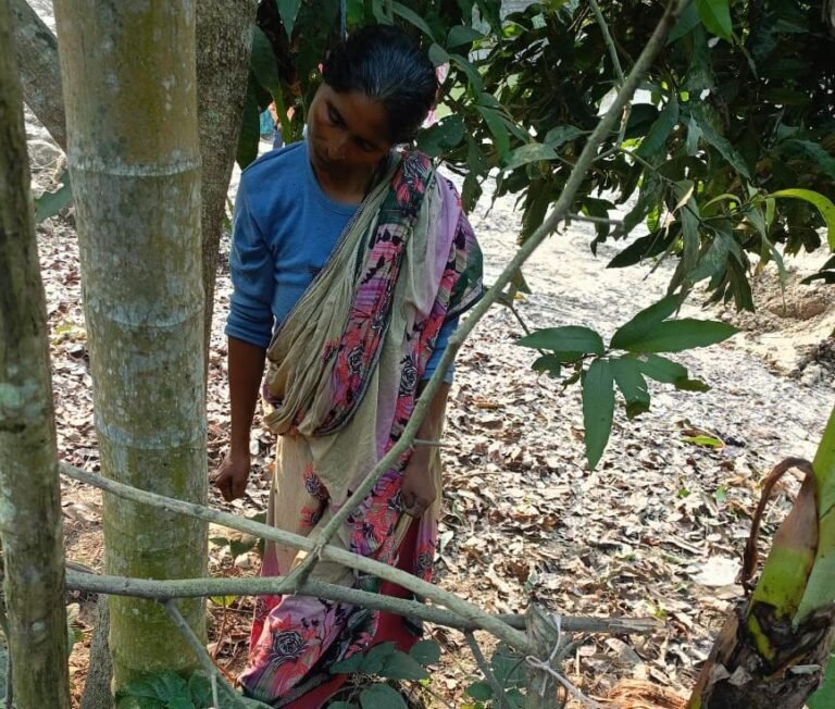 যশোরে নারীর ঝুলন্ত লাশ উদ্ধার আত্মহত্যা