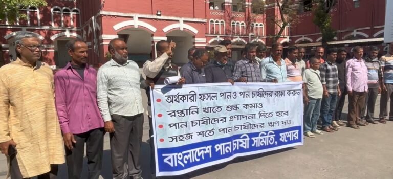 যশোরে ১০ দফা দাবিতে পান চাষীদের মিছিল–মানববন্ধন ও স্মারকলিপি প্রদান