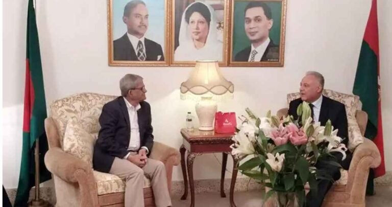 মির্জা ফখরুলের সঙ্গে মিশর রাষ্ট্রদূতের সাক্ষাৎ