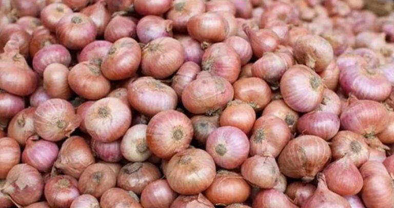 ২০ টাকা কমলো দেশি পেঁয়াজের দাম