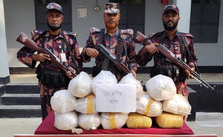 যশোরের ঘিবা সীমান্তে ৪১ কেজি গাঁজা আটক