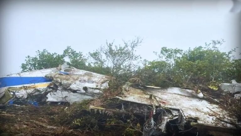 কলম্বিয়া সীমান্তের কাছে আছড়ে পড়ল বিমান, নিহত ১৫