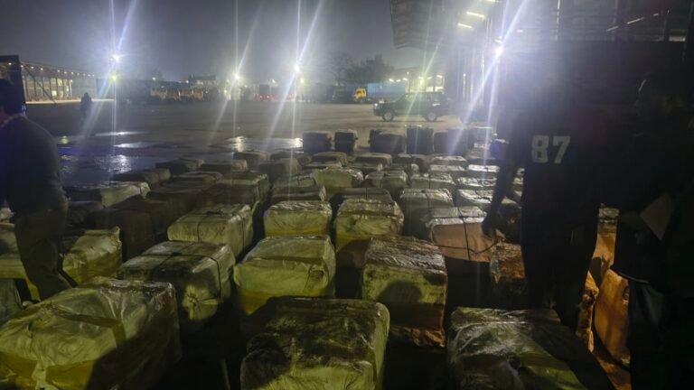 বেনাপোলে মিথ্যা ঘোষণার আড়ালে ইলিশ আমদানি জব্দ চালানে পুরোনো চক্র,প্রশ্নের মুখে