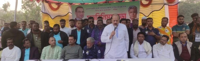 ধানের শীষ প্রতিককে বিজয়ী করতে বাহাদুরপুরে সচেতন নাগরিক সমাজের মতবিনিময় 