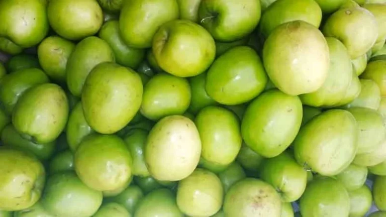 কুল কোষ্ঠকাঠিন্য দূর করে