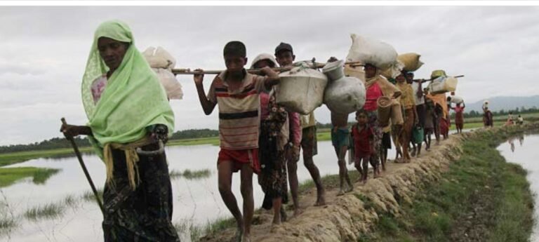রোহিঙ্গা গণহত্যার অভিযোগকে ‘ভিত্তিহীন’ বললো মিয়ানমার