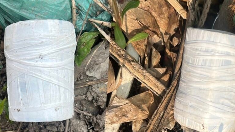 যশোর রেলস্টেশনের পাশ থেকে দুইটি ককটেল উদ্ধার