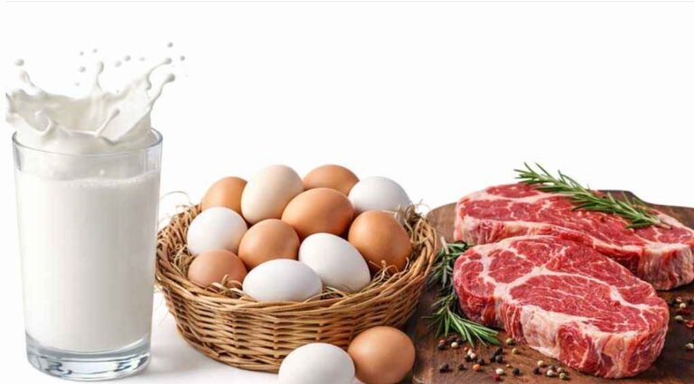 রমজানে ১০ লাখ পরিবার পাবে ন্যায্যমূল্যে ডিম-দুধ-মাংস