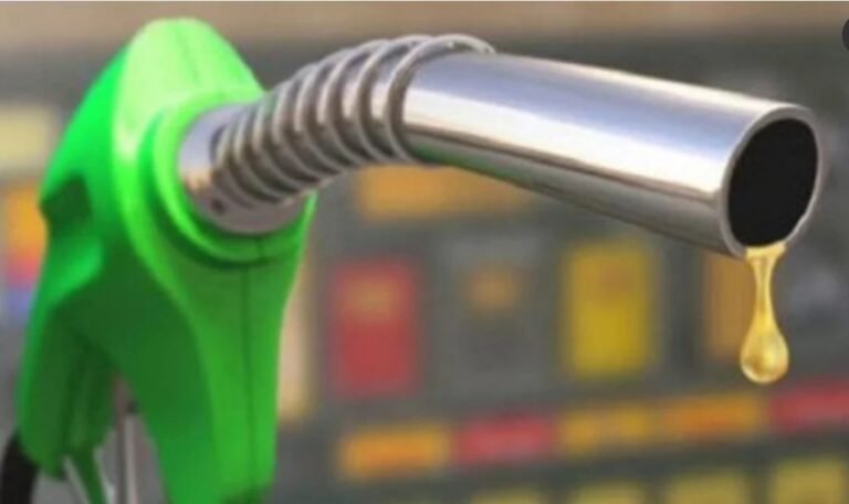 ভারতের কাছে জ্বালানি সহায়তা চেয়ে চিঠি