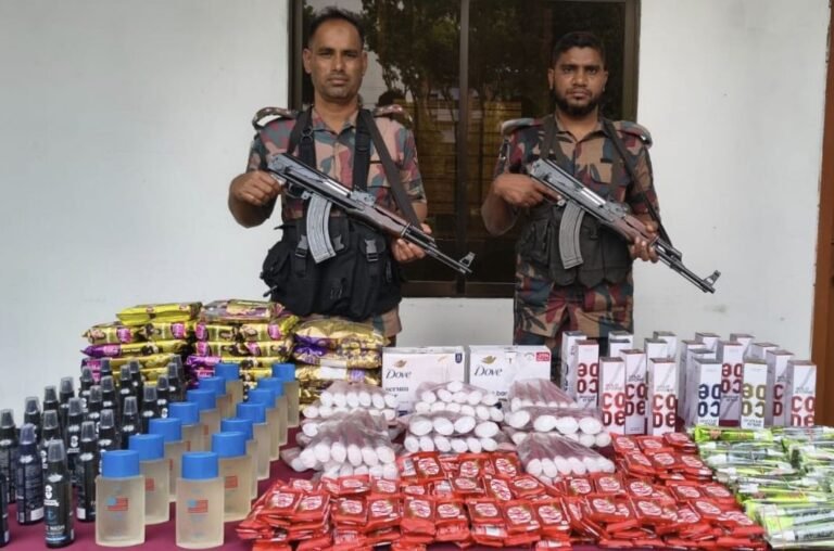 যশোর সীমান্তে বিজিবির অভিযানে ১২ লাখ টাকার চোরাচালানী পণ্য জব্দ