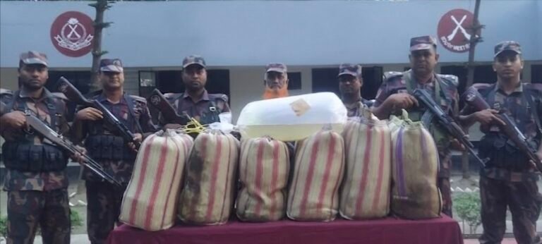যশোর সীমান্তে বিজিবির অভিযান: ৫ লাখ টাকার চোরাচালানী মালামাল আটক