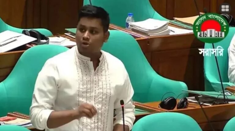 কার্টুন শেয়ারের জন্য গ্রেপ্তার করা হবে কল্পনাও করিনি, ক্ষোভ ঝাড়লেন হাসনাত