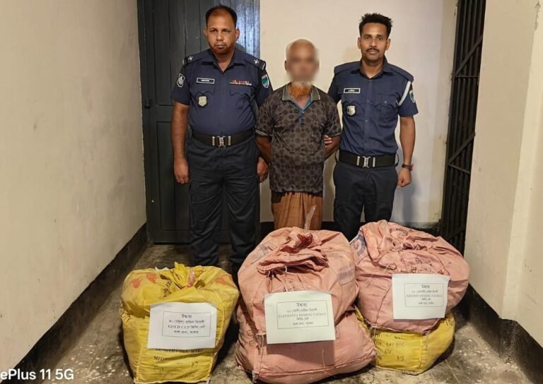 যশোরের শার্শায় আমদানি নিষিদ্ধ বিদেশি ফিসিং নেটসহ আটক ১