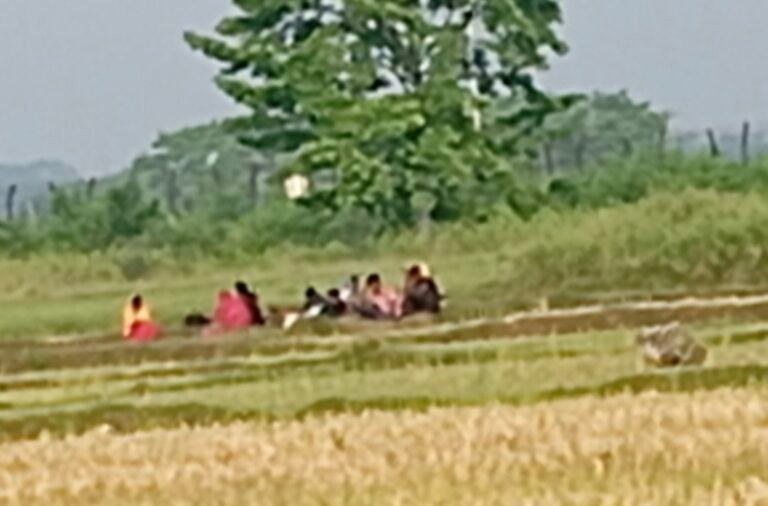 যশোরের বেনাপোল সীমান্তে পুশব্যাক করার চেষ্টা