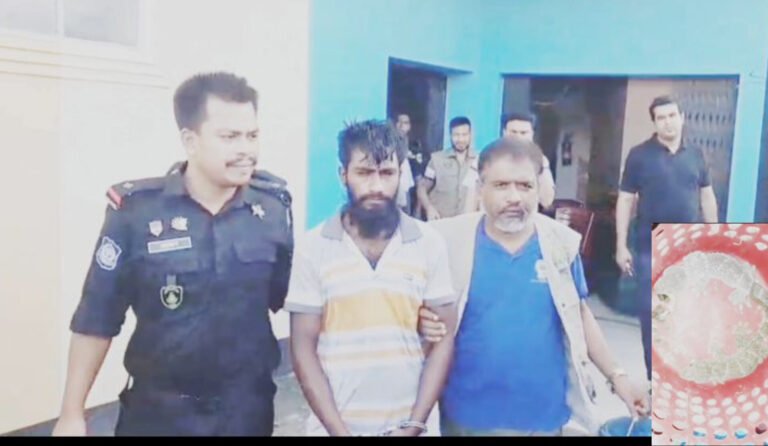 যশোরে র‌্যাবের অভিযানে দুইটি তক্ষকসহ আটক ১