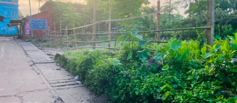 যশোর ঝিকরগাছায় বরাদ্দপ্রাপ্ত সরকারি জমি দখলের অভিযোগ বিএনপি নেতার বিরুদ্ধে রেল কর্তৃপক্ষের মামলা