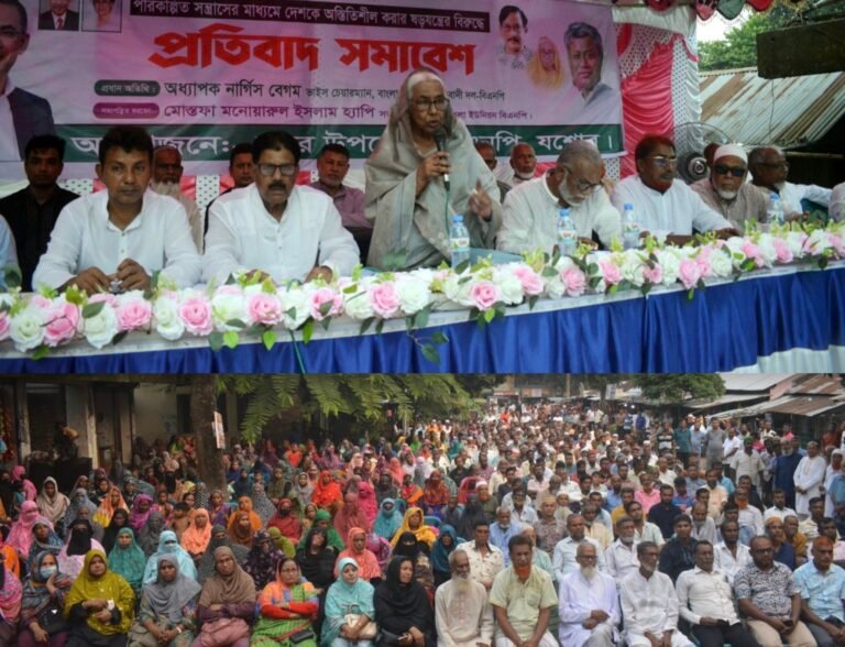 গণতান্ত্রিক সরকারের পতন ঘটানো সহজ নয়: নার্গিস বেগম